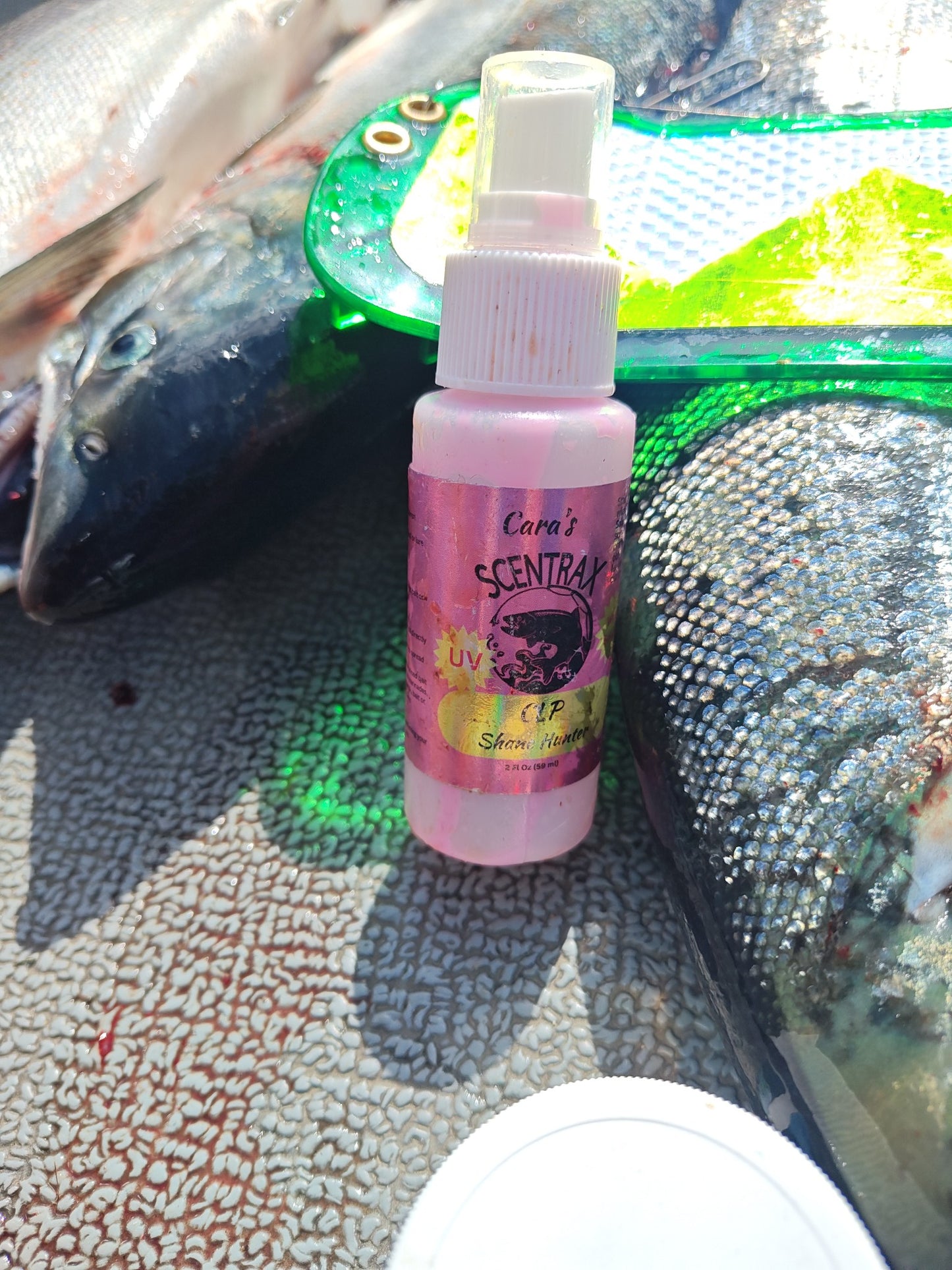 SCENTRAX CLP Stacking Bodies Custom